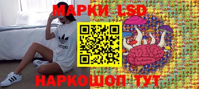 твердый Будённовск