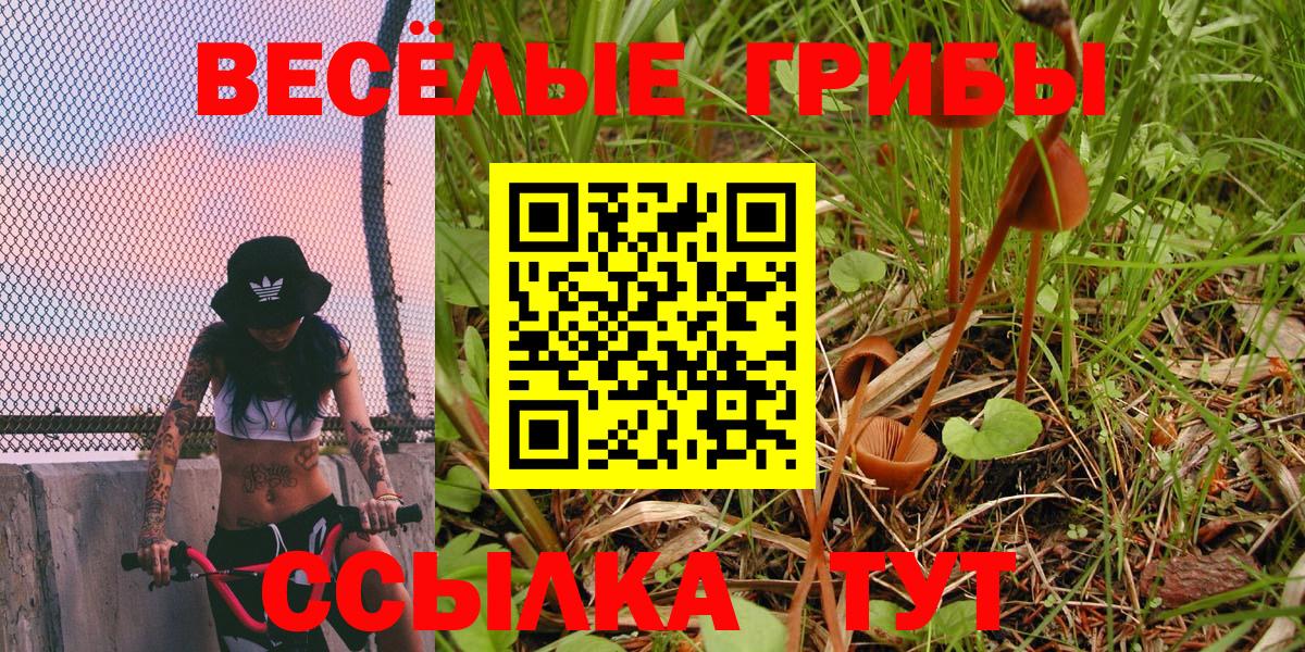 Экстази  Меф МЯУ МЯУ   Лесной  ГАШИШ  A-PVP СОЛЬ   Наркошоп  КОКАИН  ГАШ  МЕФ  НБОМе  Каннабис  Вход с VPN 