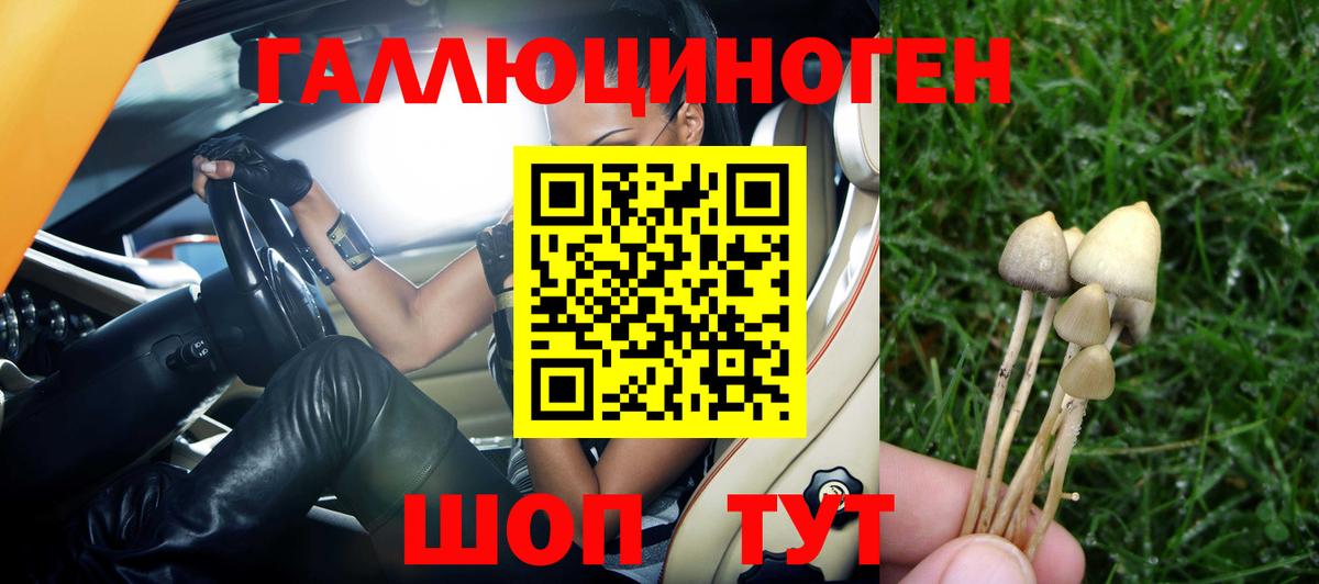 Галлюциногенные грибы Magic Shrooms  Галлюциногенные грибы прущие грибы  Лесной  Вход с VPN 